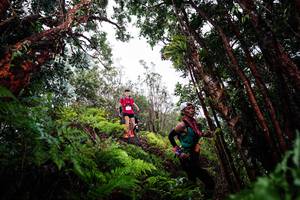 BIB: 
                            <button type="button" onclick="openModal(26202503)" class="btn btn-primary btn-sm float-right btn-popup" data-toggle="modal" data-target=".modal-high-quality">
                        <i class="fas fa-shopping-cart"></i> Add to Cart
                    </button>
                                            <button type="button" onclick="isThisMe(26202503, true)" class="btn btn-success btn-sm float-right btn-popup btn-isme hidden" data-toggle="tooltip" data-placement="bottom" title="นี่คือรูปของคุณใช่ไหม คลิกที่นี่เพื่อเอาเข้าอัลบั้ม">
                        <i class="fas fa-plus"></i> Add to album
                    </button>
                    <button type="button" onclick="isThisMe(26202503, false)" class="btn btn-warning btn-sm float-right btn-popup btn-isnotme hidden">
                        <i class="fas fa-ban"></i> Remove from album
                    </button>